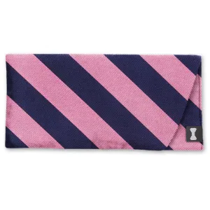 Academy Pink/Navy - Eyeglass Cases