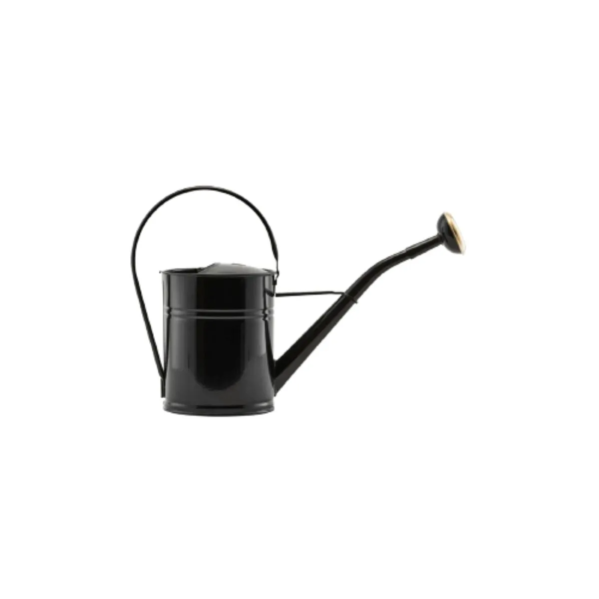Iron and Zinc Watering Can, 2 Liters