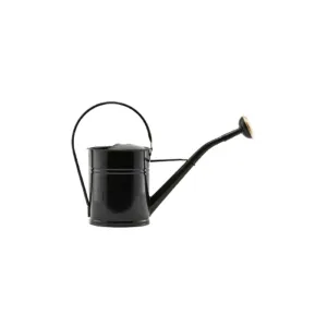 Iron and Zinc Watering Can, 2 Liters