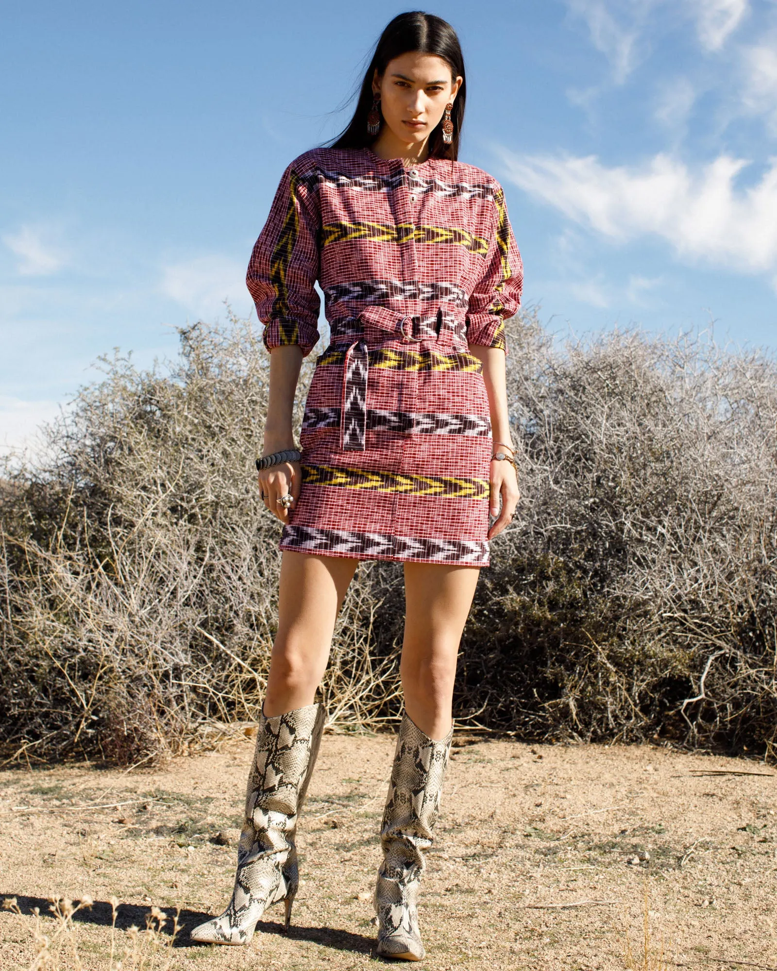 Laurent Pomegranate Ikat Dress