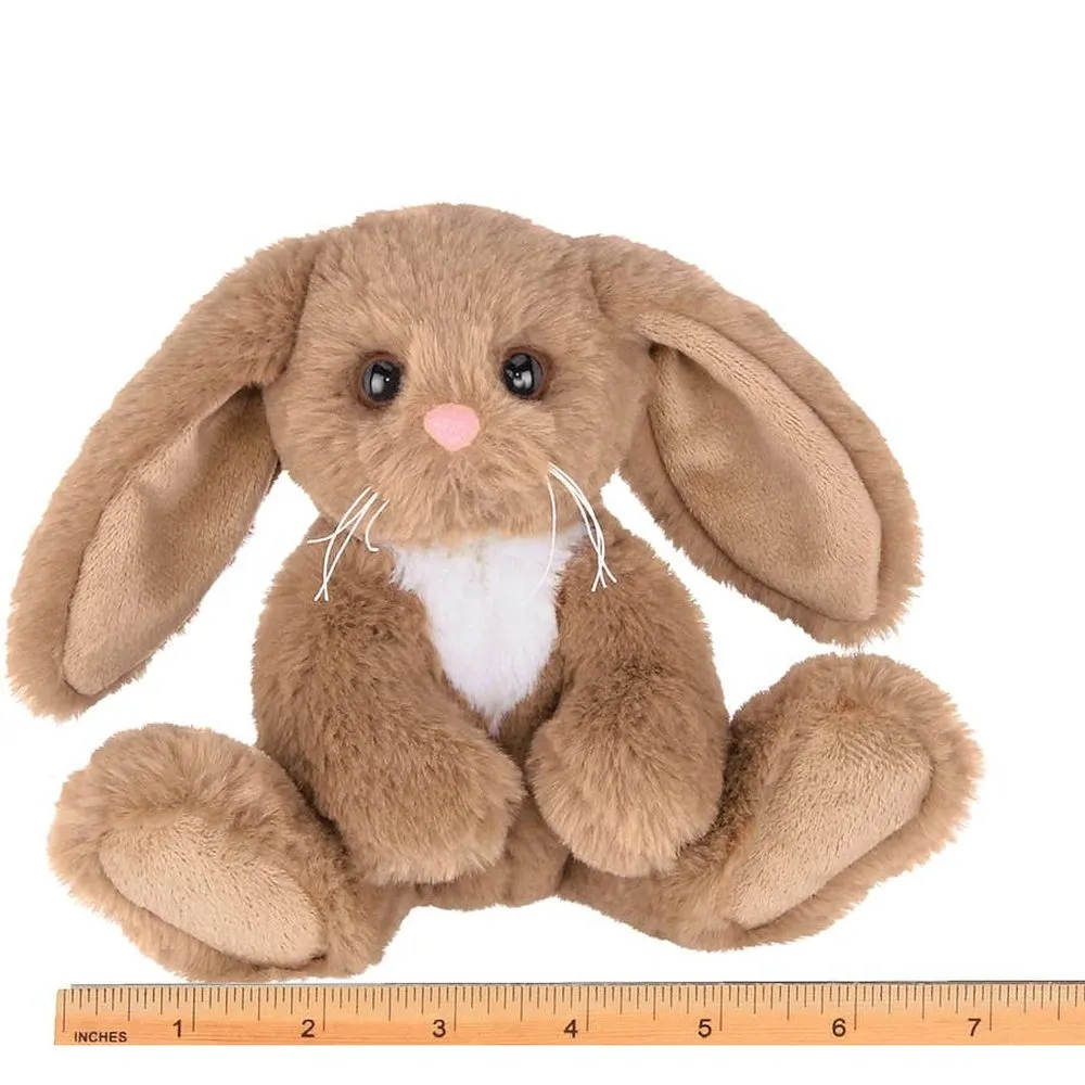 Lil' Benny the Brown Bunny