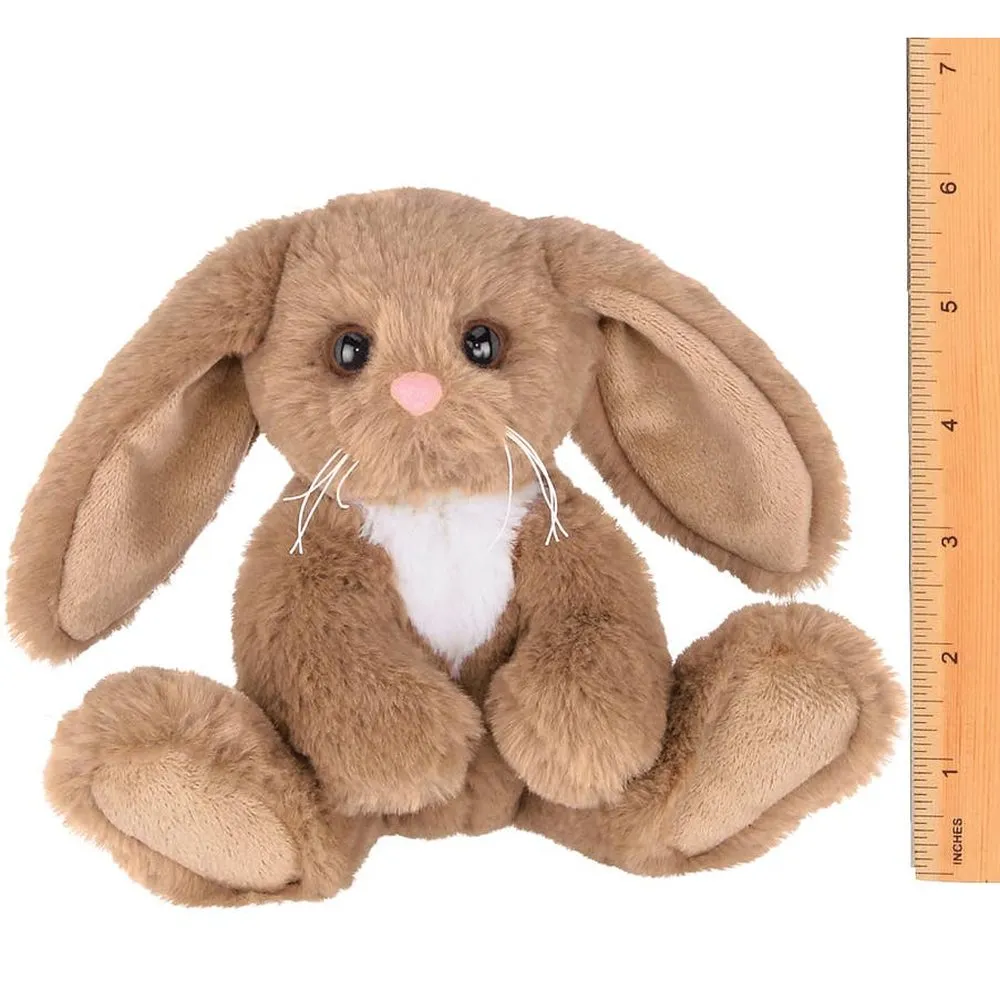 Lil' Benny the Brown Bunny