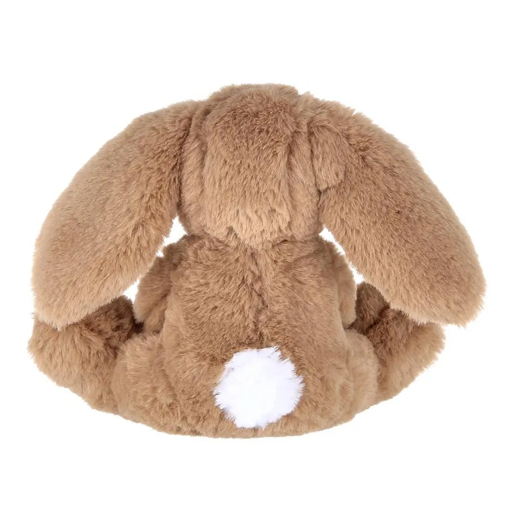 Lil' Benny the Brown Bunny