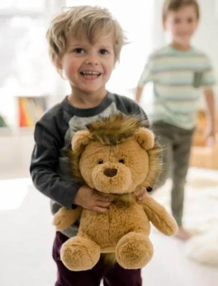 Little Luxuries Lion Soft Toy