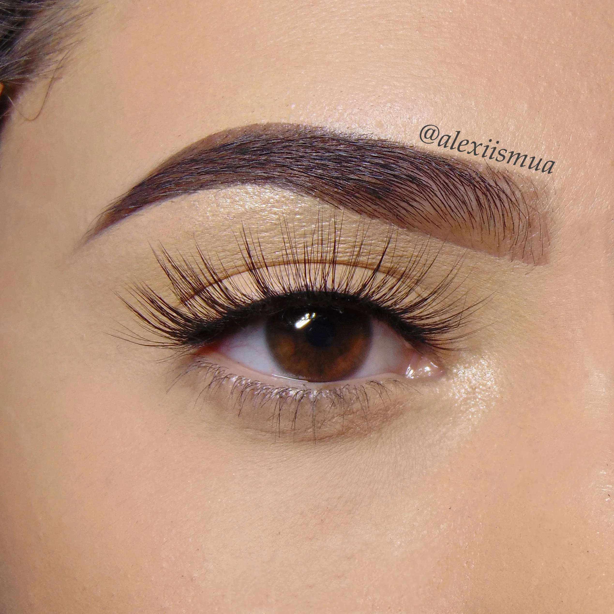 LUNAR Lashes
