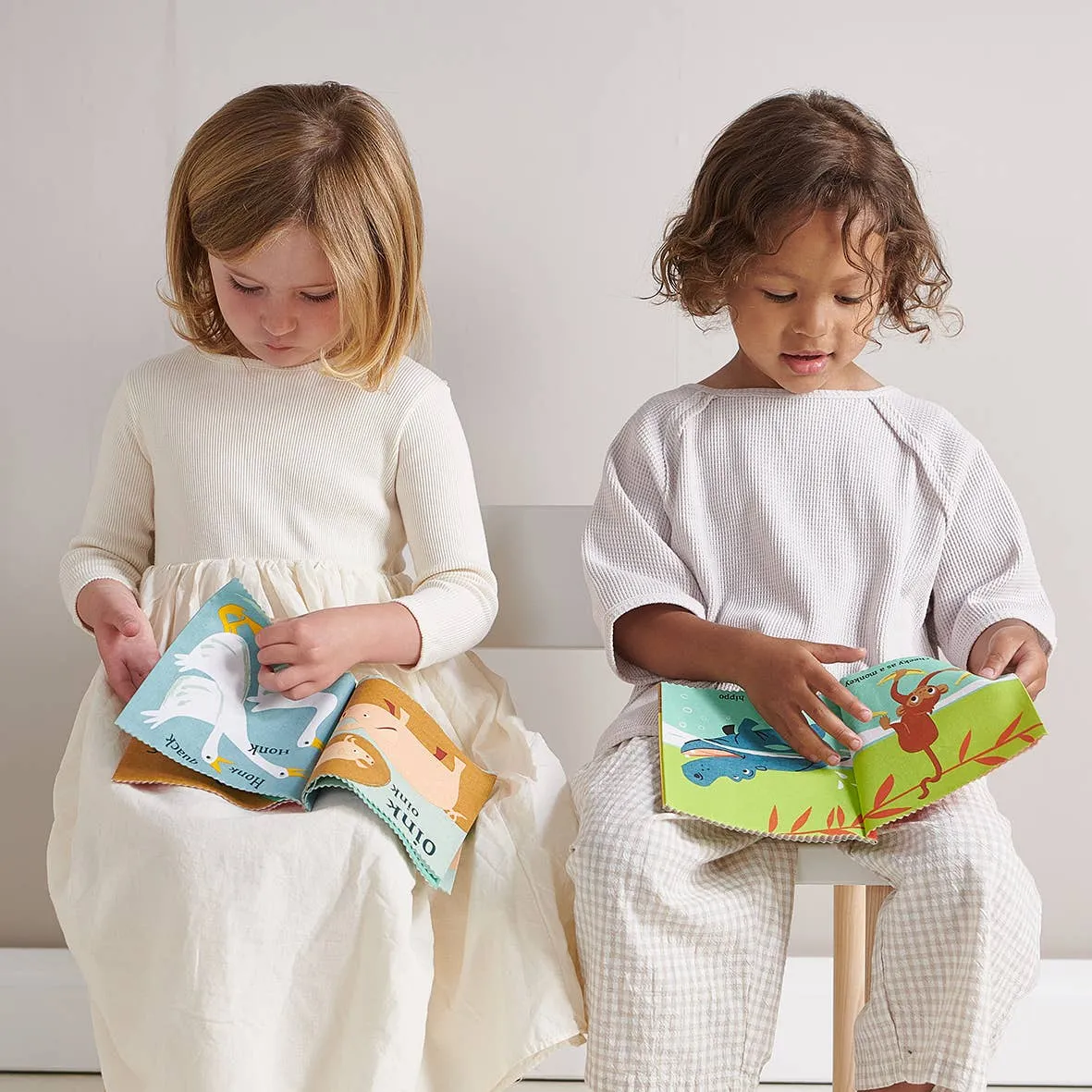 Noisy Farmyard Rag Book
