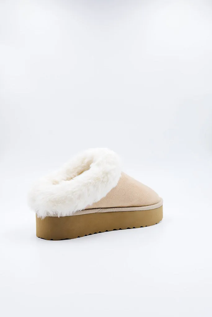 PAWJ Cubby Slipper