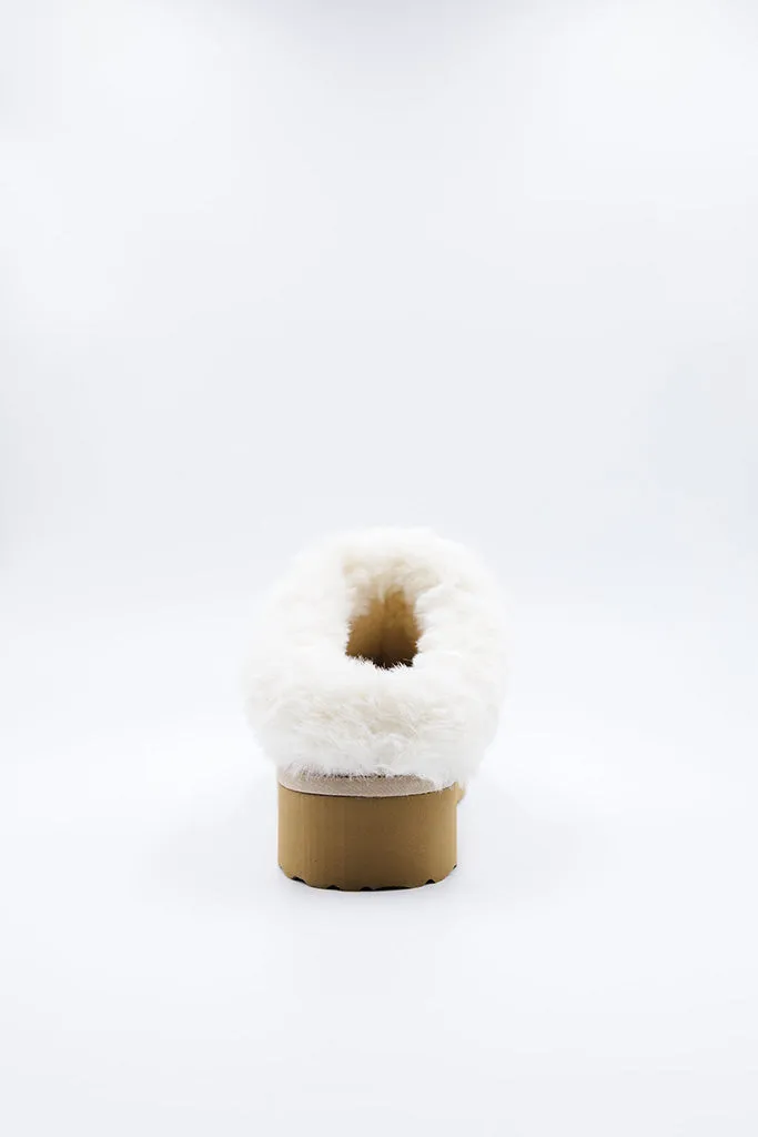 PAWJ Cubby Slipper