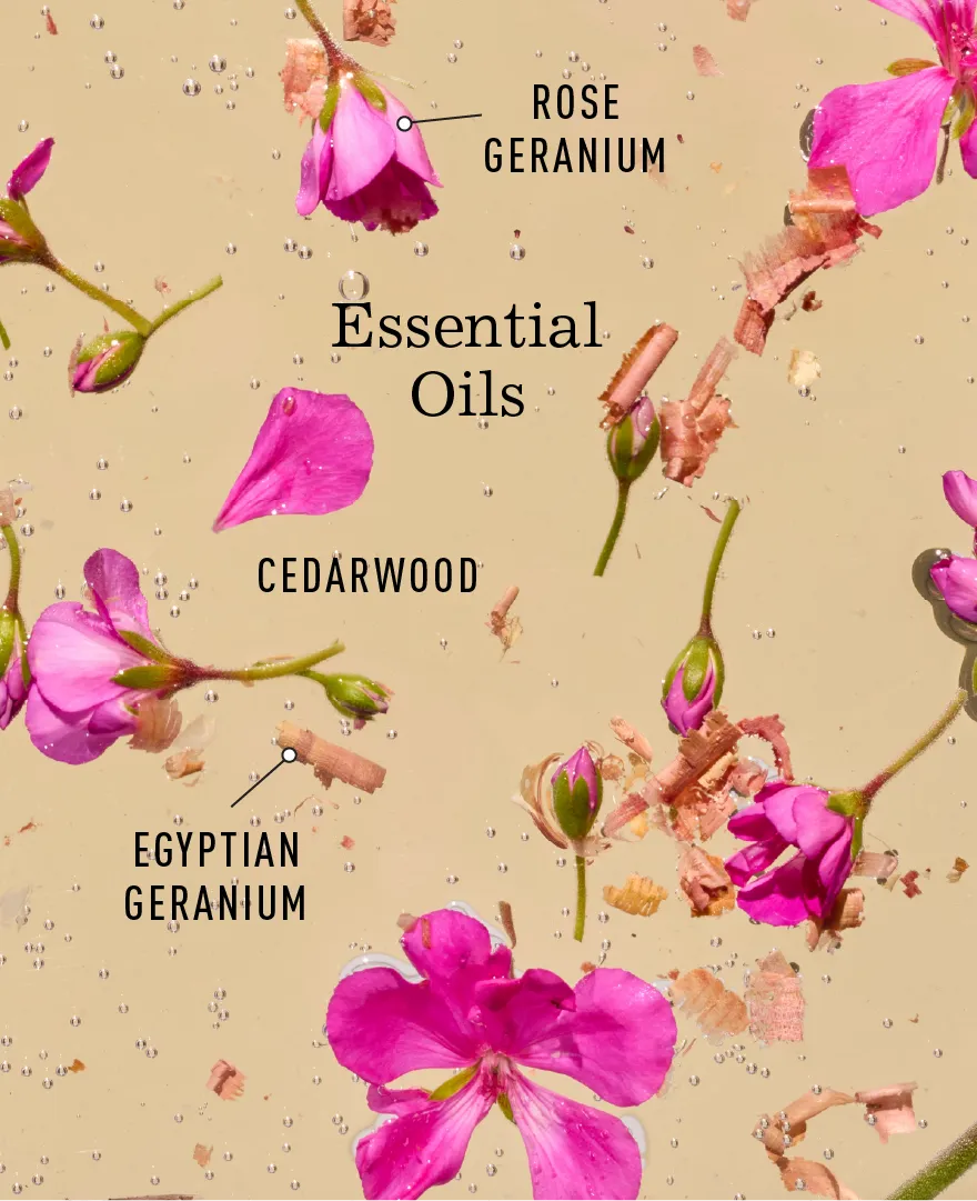 Rose Geranium Foaming Hand Soap