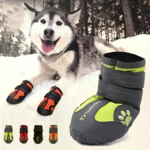 Step Into Comfort and Protection with Every Paw!