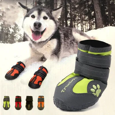 Step Into Comfort and Protection with Every Paw!
