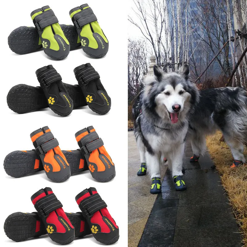 Step Into Comfort and Protection with Every Paw!